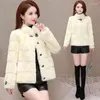 Dames vacht hoogwaardige faux mink jas mode dames winter jas kort verdikte imitatie fluweel harige houd warme overjas