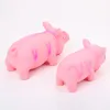 Huisdier Chew Toys Cute Rubber Sound Pig grunting pieak latex voor honden pieper kauw-training puppy benodigdheden huisdierproducten SN4756