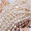 Perle 3 Couleur Naturel Perle D'eau Douce Perles De Haute Qualité Irregar Forme Poinçon Lâche Pour La Fabrication De Bijoux Diy Collier Bracelet 101 D3 Dhjpz
