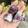 Dekorativa figurer 100g Natural Plum Blossom Tourmaline Crystal Mineral Prov Healing Stones for Home Decor