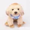 Vêtements de chien Loisirs Temps d'impression mince Animaux de compagnie Vêtements de chien Underwaist Fadou Caniche Gilet d'été 2 8WS T2 Drop Livraison Maison Jardin Pet Su Dhay1