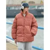 Erkekler Aşağı Parkas Tek Yol Kış Ceket Erkekler Stand yaka sıcak pamuklu yastıklı palto Erkek Kore tarzı moda dış giyim ceketleri 221207