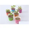 Fioriere Vasi Mini Piante in vaso Creativo Menta Girasole Lavanda Pot Cture Regalo per bambini Micro Paesaggio Ornamento per desktop da ufficio 1 2Z Dhfpi