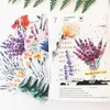 Present Wrap 13pcs/Set Watercolor Wind Flowe Paper Stickers Kits Die Cut/Seal för DIY Scrapbooking Journal Hobo TN Diary Planner Card Making