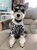 Designer hundkläder hundkläder med klassiskt brevmönster för bulldog chihuahua valp vinter tröja varma husdjur tröjor katt tröjor hundar kappa vita xs