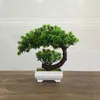 Fiori decorativi Simulazione Fiore Bonsai Moon Bud Pianta verde Decorazione domestica in vaso Ornamento finto da tavolo Regalo