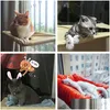 Chat Lits Meubles Fenêtre Balcon Chats Lit Monocouche Avec Ventouse Hamac Étagère Suspendue Siège Doux Roulement Perche Coussin Chat Lits Sl Dhko6