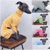 Abbigliamento per cani Stripe Accessori per cani da compagnia Abbigliamento Collo alto Camicia a prova di freddo Quattro maniche lunghe Forniture per cani Camicie Modello 26Lm F2 D Dhqtk