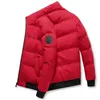 Men's Down Parkas Jacket Warm Thick Puffer Water and Wind-Resistant Breathable Coat Casual High Quality Big Size Men s 221208