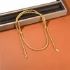 Brass Gold-Plated Fried Dough Twist Necklace Rope Design Gold Twisted Long Sweater Chain Fashion All-Match Jewelry Accessories