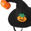 Hundebekleidung Haustierhut Lustige Kürbis-Hexe-Kappe Chihuahua Cosplay Halloween-Kostüm für kleine Kätzchen Welpen Kopfschmuck Zubehör