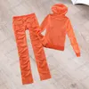 Sappig trainingspak merk dames tweedelige broek fluwelen stof lange mouwen capuchon pure kleur slanke tops losse comfortabele rechte broek dameskleding 17 kleuren