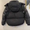 Veste de pute de parkas pour hommes pour hommes Down veste hommes hommes dames blanc canards baisses vestes d'hiver pour hommes veste en plumes classiques à capuche rembourrées 221208