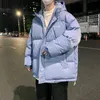 Мужская пухлая парка зима Harajuku Мужская капюшонная куртка Parker Casual Casual Clyple Classic Collect Plound Lackets Fashion Backgy Paud Puffer Paud 221208