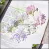 Flores decorativas grinaldas 3 Fork Simation Little Flower Headwear Clothes Acessórios Hydrangea Flores de moda vendendo com dhuwx branco