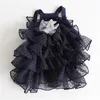 Chat Costumes Hanpanda 2022 automne hiver dentelle gypsophile robe de mariée douce jupe pour animaux de compagnie fête anniversaire vêtements pour femmes chats