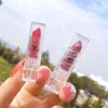 Brillant à lèvres 10 couleurs Mini velours mat rouge à lèvres maquillage hydratant pas facile à décolorer Tube Transparent échantillon brillant à lèvres durable imperméable