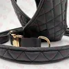 Dogs Leather Collar Triangle Logo Pets Harness Leashes Set Fashion Black Pet Leash Two Piece