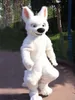 Costume de mascotte en fourrure longue Husky chien renard, Costume d'halloween, tenue de fête