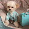 Evcil hayvan örgü köpek yavrusu mektup kazak köpek kıyafetleri pembe mavi evcil hayvan sweatshirt ceketleri312z