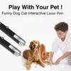 5MW pointeur laser lampes de poche stylo fête faveur drôle chat jouet en plein air camping enseignement conférence fournitures animal de compagnie 3 couleurs vert bleu rouge point stylo lumineux