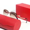 Krewe Sunglasses CT7259 CARTI 여성 공작 공작 파란색 고양이 안구 표범 무기 프레임리스 안경 Firper Women American Eyewear Man UV400 원래 케이스