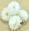 10pcslot White Chrysanthemum Design Sola Flower Diffuser Scent Flowers for Nature Scents ZH04055374154