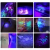 51 LED UV Torch 395NM طاقة عالية UV المصباح CAT DOG PET PET PET PET PET PET PET SCORPION