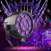 4pcs LED PAR 36W RGB LED aşama ışık parlaması Disco DJ Projektör Makine Partisi Dekorasyon Sahne Aydınlatma için DMX512 ile