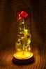 Romantyczne wieczne różowe kwiatowe okładka Piękno i bestia LED Bateria Lampa urodzinowa Walentynka 039S Dzień Matka Prezent Home Decorati2611185