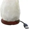 Nattlampor Himalayan kristall saltlampa USB naturlig bildning färgglad varm vit led mineral sovrum sovrum dekor ljus
