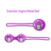 Jouet sexuel complet masseur corporel Vibrateur Toys pour femmes en toute sécurité en silicone kegel ensemble vagin serrer la machine d'exercice jouet vaginal geisha rétrécir 3T5G