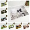 Teppiche Haustier Hund Tier Fußmatte rutschfeste Fußmatte Flanell Teppich Boden für Schlafzimmer Flur Dekor Schottland Border Collie Teppich 40 x 60 cm