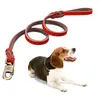 Hundekragen Haustier Leine Seil Faux Leder Welpe Training Blei kleiner Gurt Traktion Outdoor Hundegurtkragen Vorr￤te