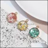 Charms Fashion Resin Stone Pendant Charm Natural Shell Paper Sequins With Gold Plated For Diy Jewelry Making Bracelet Necklace Drop Ot48B