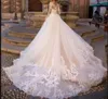 2023 a line Wedding Dresses Bohemia V-Neck Beach Tulle Lace Applique plus size Bridal Gown Vintage A-Line Vestido De Novia for Women Custom Made
