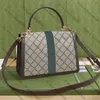 10A Designer women's bag plaid canvas cowhide fashion luxury handbag hand bill shoulder storage bag