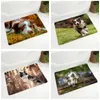 Teppiche Haustier Hund Tier Fußmatte rutschfeste Fußmatte Flanell Teppich Boden für Schlafzimmer Flur Dekor Schottland Border Collie Teppich 40 x 60 cm