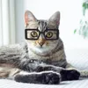Hundkläder husdjursglasögon klä upp tillbehör Plastöverskild katt
