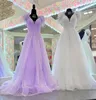Платье с пером с блестками 2023 г. А-линия глубоко v-образные зимние формальные вечерние свадебное платье.