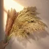 Decorative Flowers 1 Bunch Dried Reed Natural Plant Pampas Grass Ornaments For Living Room Dining Tables Party Hallways Decoration