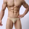 Underpants Men's Sexy Brief Ultra-thin Cool Translucent Smooth Silky Underwear Panties Bottoms