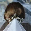 Nakrycia głowy HP027 vintage nosowa odzież w włosach błyszcząca kryształowa druhna kwiat-dziewczyna fryzjerski dar urodzinowy Tiara Wed Akcesoria