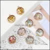 Charms Fashion Resin Stone Pendant Charm Natural Shell Paper Sequins With Gold Plated For Diy Jewelry Making Bracelet Necklace Drop Ot48B