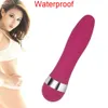 Helkroppsmassager sexleksaker masager vibrator kvinnlig dildo erotiska produkter hopp ägg klitoris stimulator vaginal g-spot massager leksak för kvinnor par vuxna spel 8bon