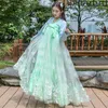 Abbigliamento etnico Abiti tradizionali cinesi Abbigliamento da danza antica Hanfu per ragazze e donne Abiti da festival Costumi per spettacoli cosplay