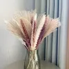 Dekorativa blommor 1 g￤ng torkad vass naturlig v￤xt pampas gr￤sornament f￶r vardagsrum matbord fest hallar dekoration