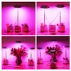 성장 FTOYIN LED LIGHT LIGHT FULL SPECTRUM USB 충전 식물을위한 Phytolamp Dimming 타이밍 식물 꽃 야채 파종