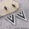 Triangle Drop charms Earrings Exaggerated Personality Geometric Acrylic Long Earrings for Women Women's Party Jewelry