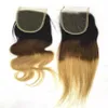 Brazilian Body Wave Human Remy Hair Weaves 3 4 Bundles with Closure Ombre 1b 4 27 Color Double Wefts Hair Extensions294g